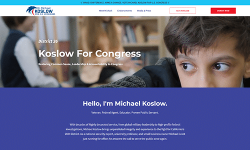 campaign website design