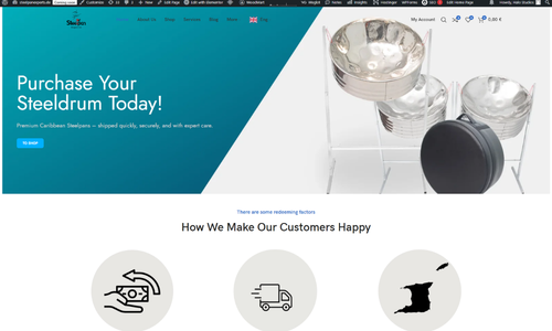 steelpan expert website design